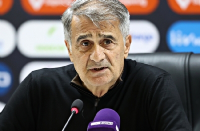 Şenol Güneş: Üzgünüm