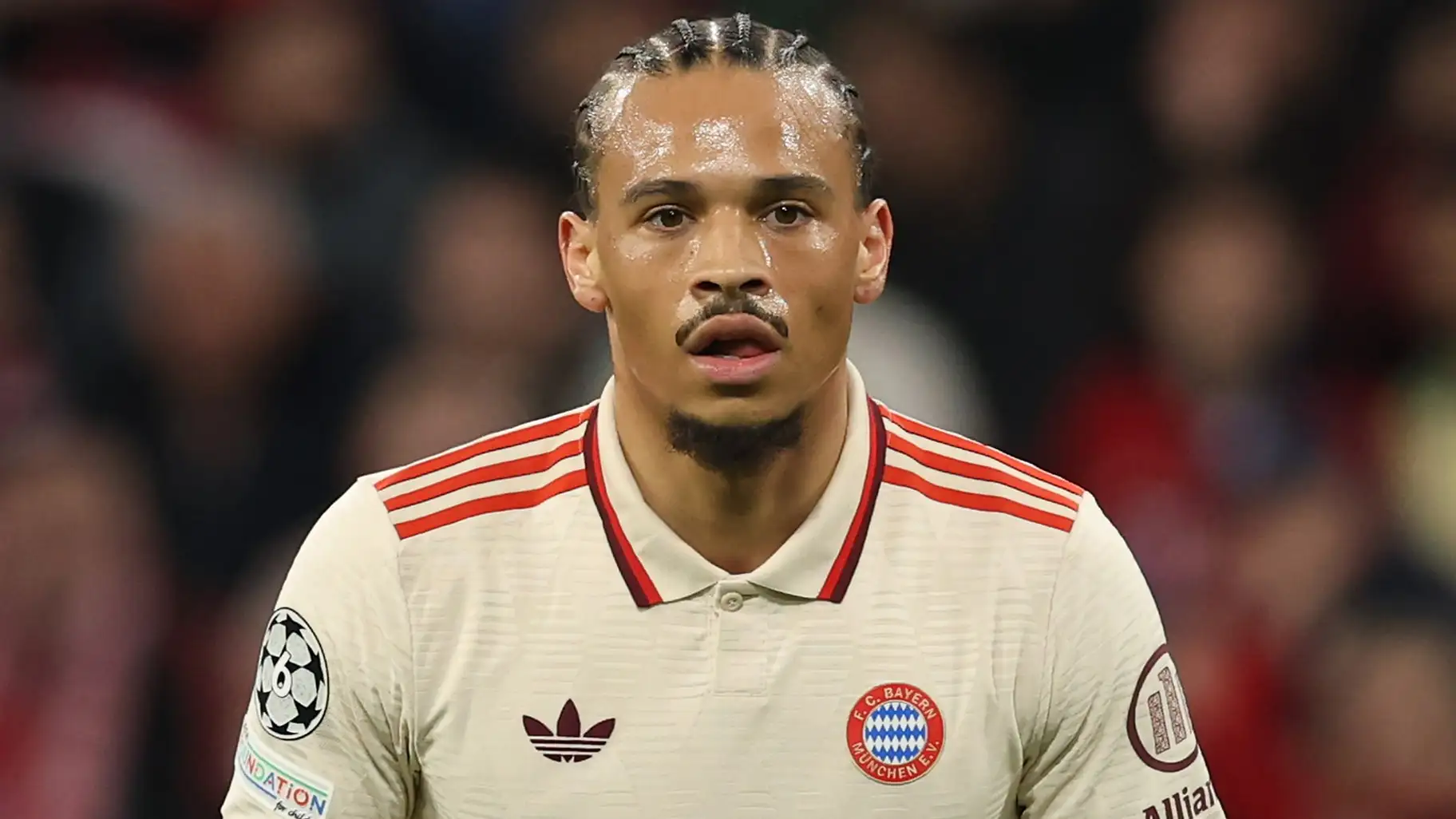 Sane