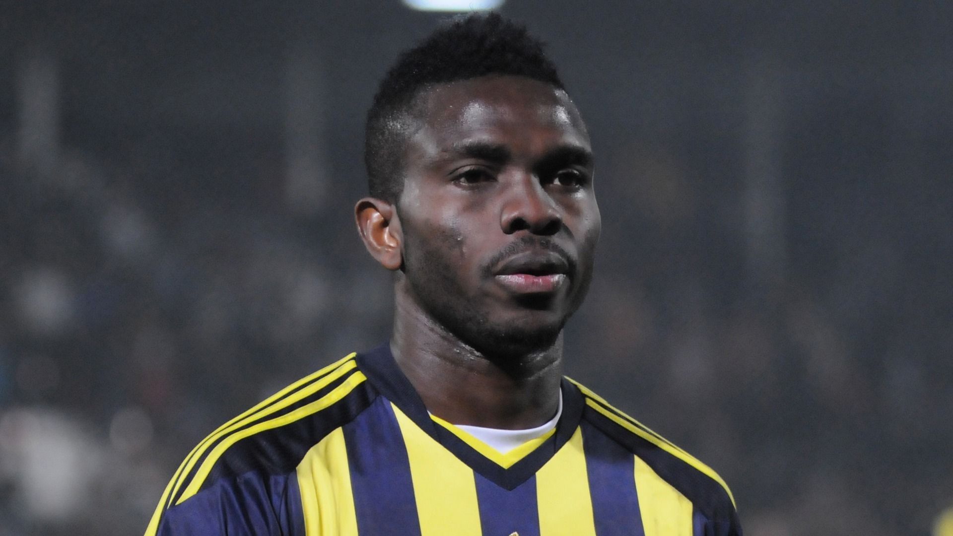 yobo