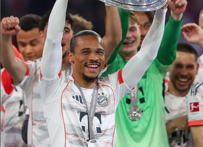 Sane