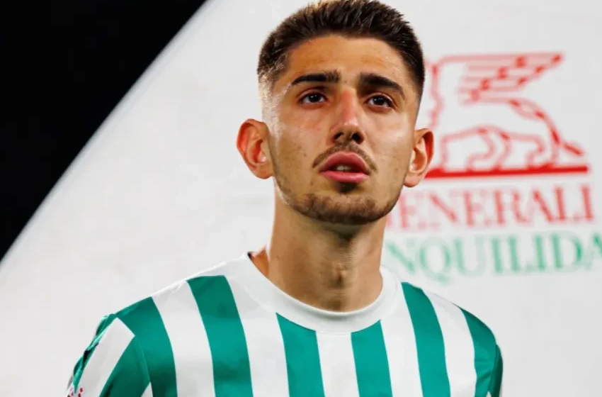 Demir Ege Tıknaz