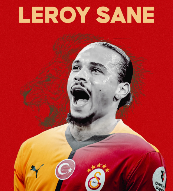 sane