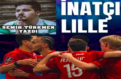 İNATÇI LILLE