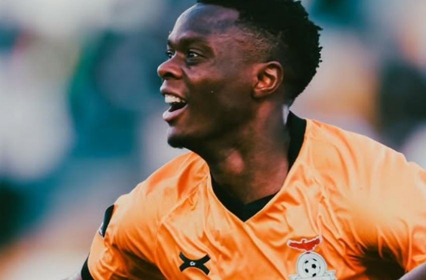 Güney Afrika, Angola'yı evinde yendi